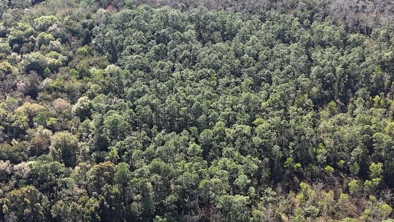 DJI_20260108103445_0129_D