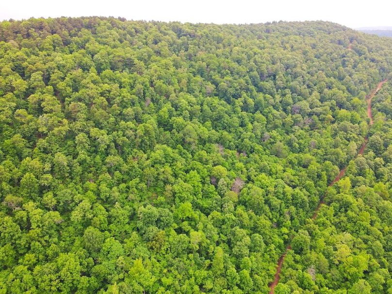 DJI_0357