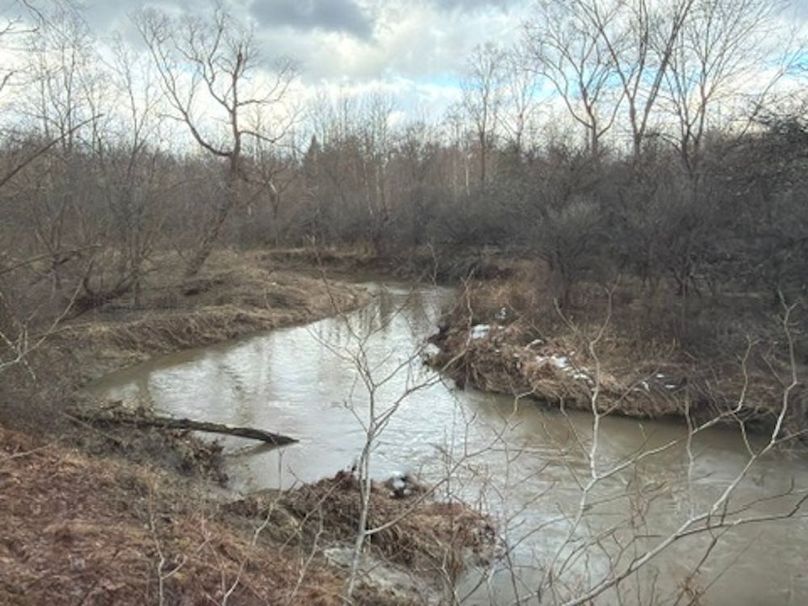 74832C69-7C51-4CEA-93AF-A8C3442FD7A8_4_5005_c