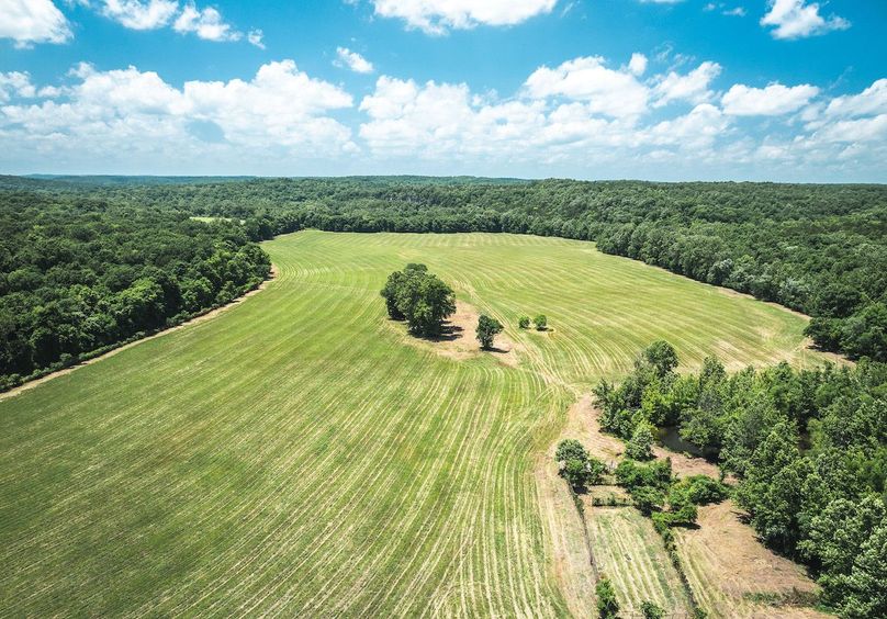 DJI_20250621134107_0643_D