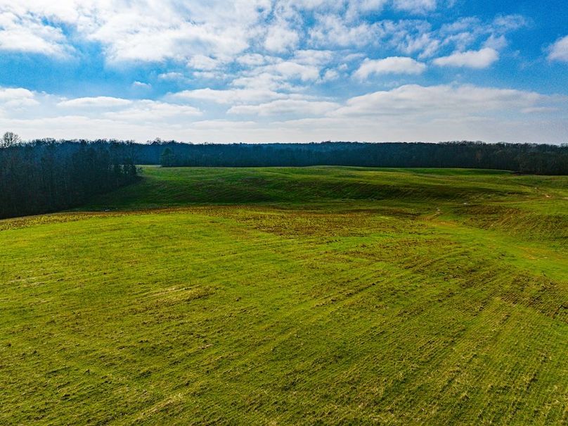 Henry 137 Miller-23-2