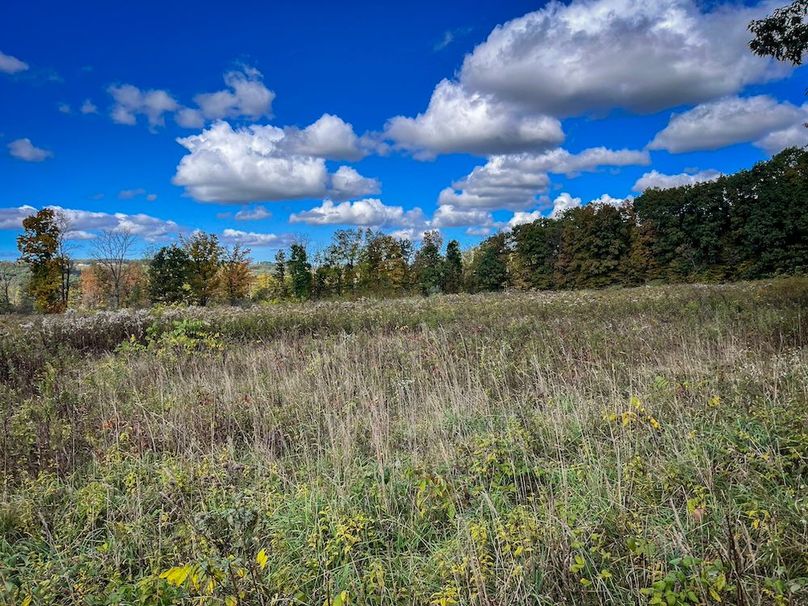 Tompkins_30.32_Hildreth_Estate_Phoros_29