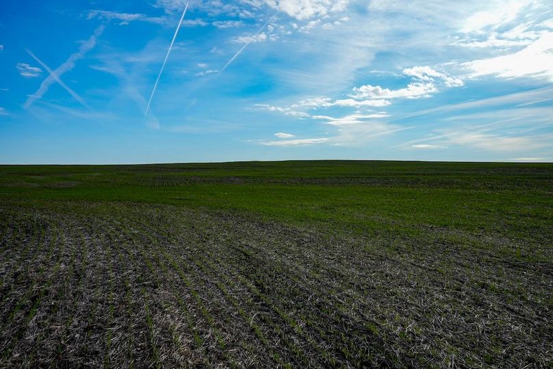 Dickinson Co, 154.5_047