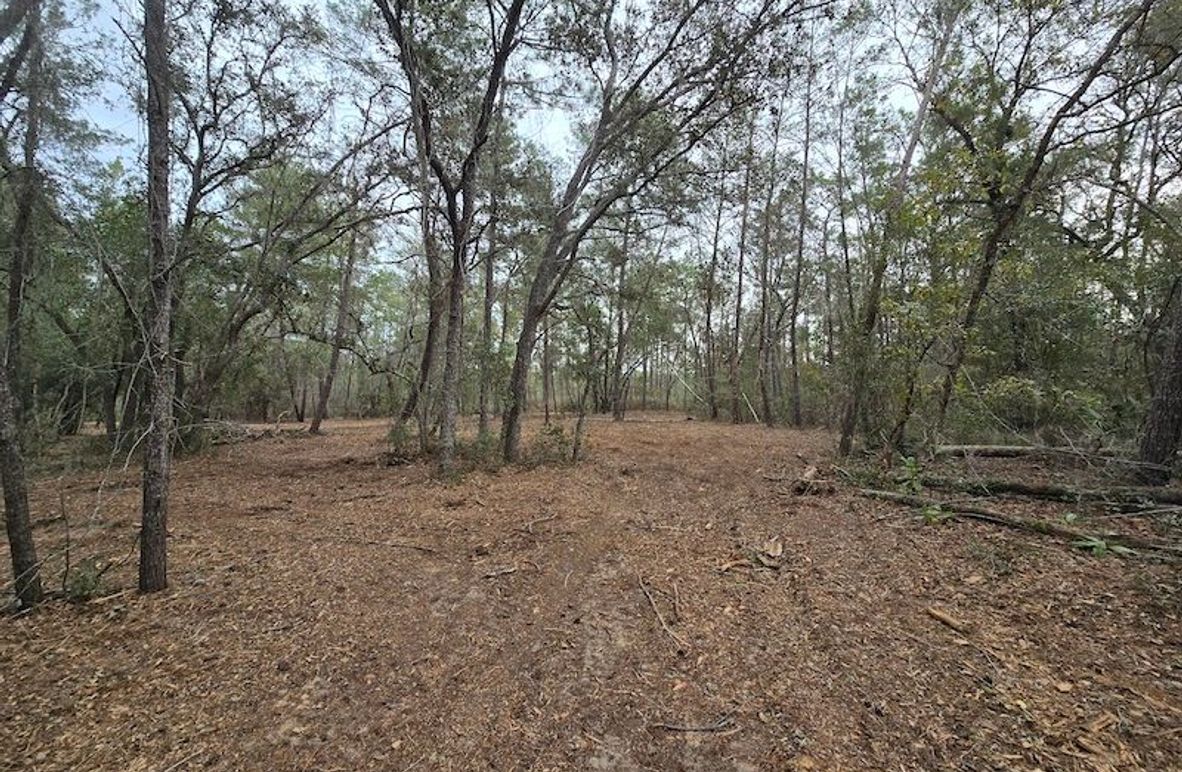 5ac, Marion, Andrew Goering03