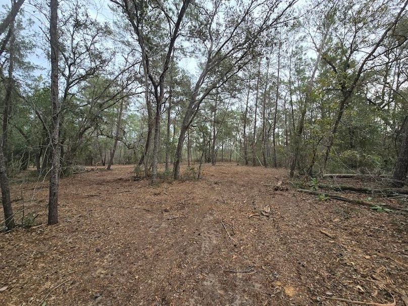 5ac, Marion, Andrew Goering03