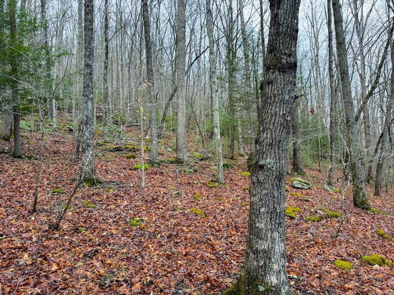 Braxton, WV 2.31 AC Winslow_Cole-11