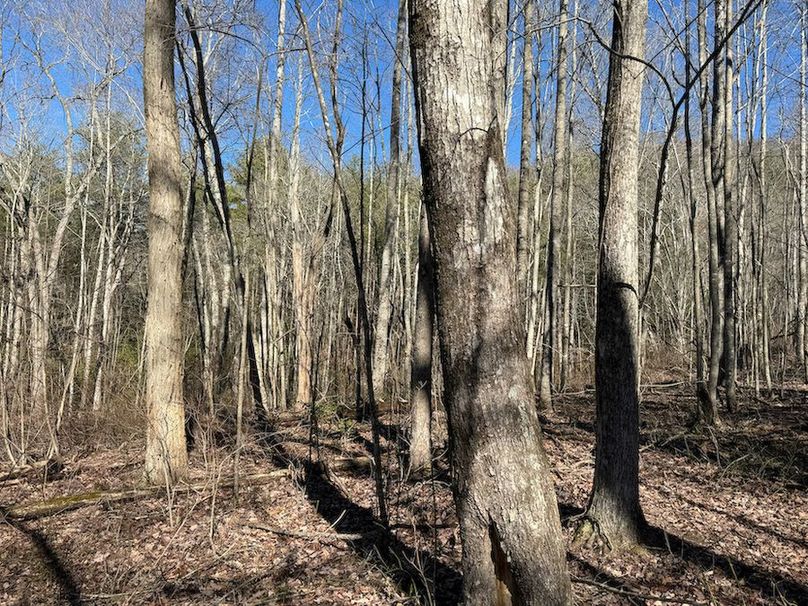 Cherokee 118.85 Harris Top-18