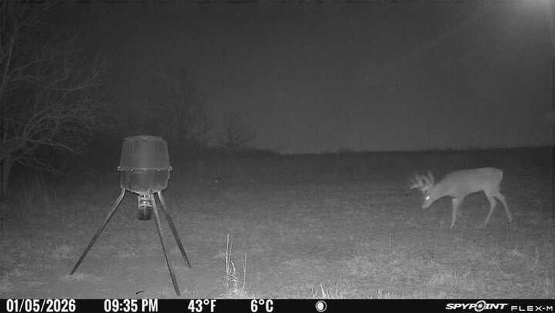 Trail Cam 8