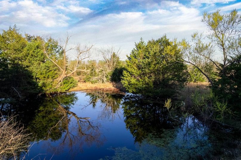 Hopkins County- 15.53 acres-7