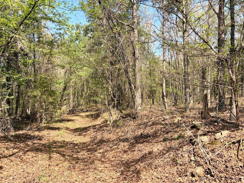 2C8BC276-A6A1-4C3C-BA02-F2F98C260ACA_1_201_a