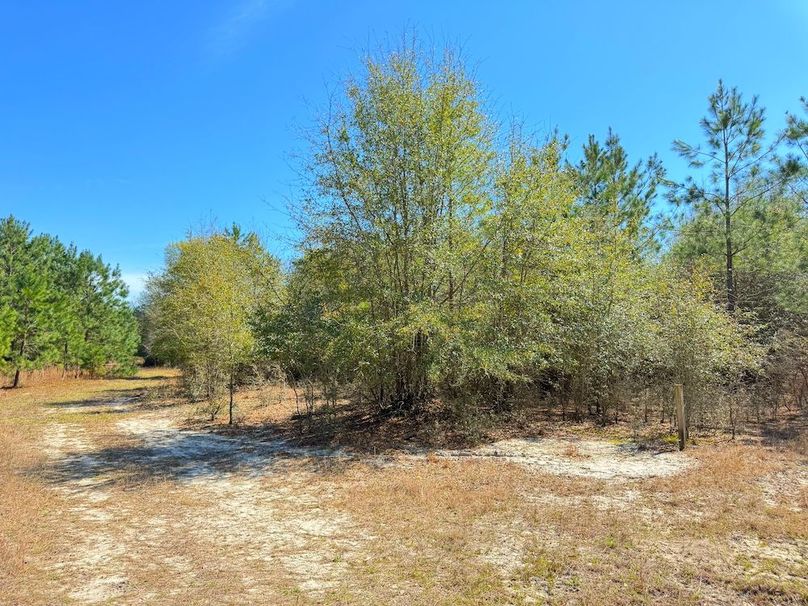 E47D9F49-B531-4251-88DF-D6DB57BBFB75