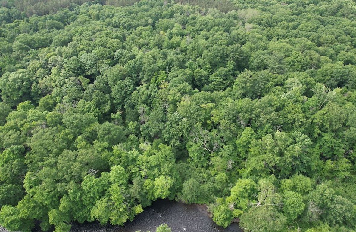 Oswego_22.46-Ross-French_Photos_3