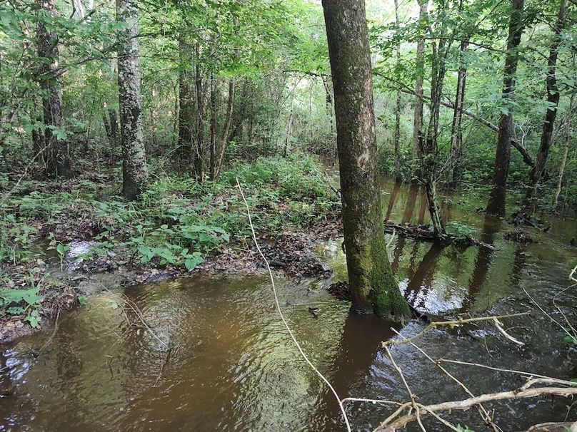 IMG_20250611_182130040