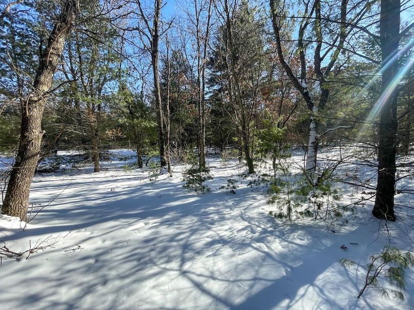 Adams 25, Nessler -49