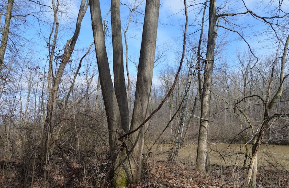 another old stand along creek