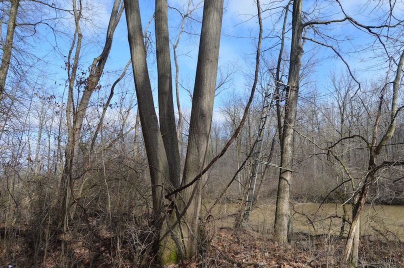 another old stand along creek