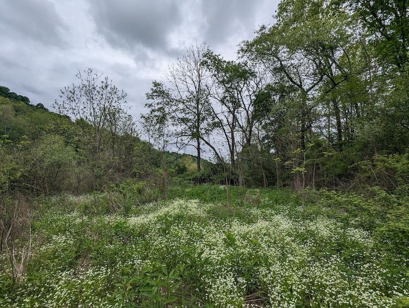 PXL_20240515_154952553