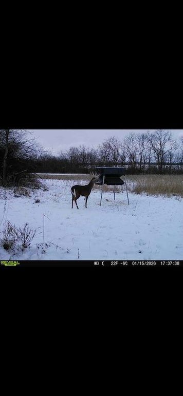 Screenshot 2026-02-27 at 3.58.07 PM