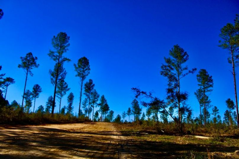 B38674B6-8AE4-466E-8F5E-41E6F6921D6F_1_201_a