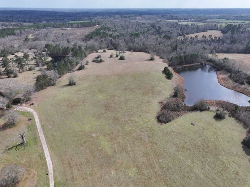 dji_fly_20260220_123740_0203_1771640807179_photo