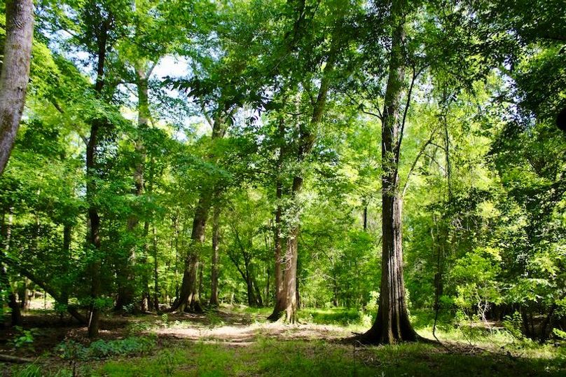 736233C3-FE5D-4D5F-BFBD-02E306E00715_1_201_a