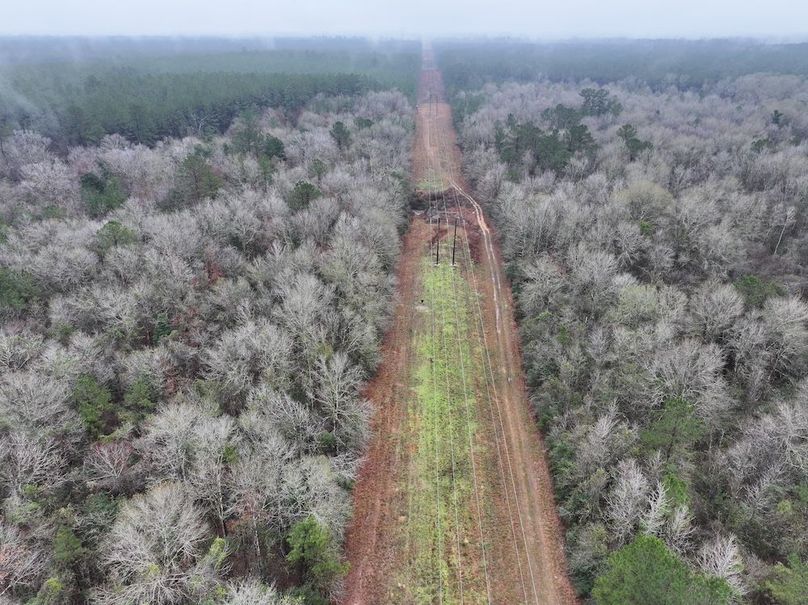 dji_fly_20260122_090720_0831_1769444824294_photo