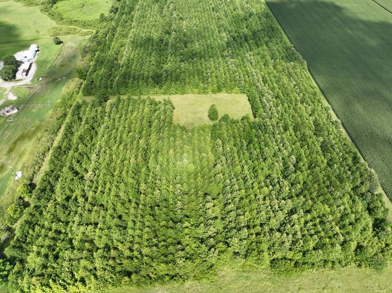 dji_fly_20250620_100250_13_1750611250539_photo