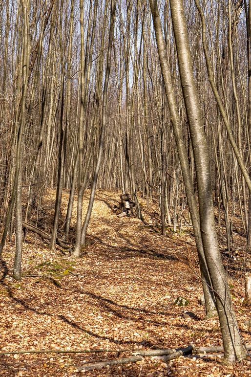 76-web-or-mls-IMG-76