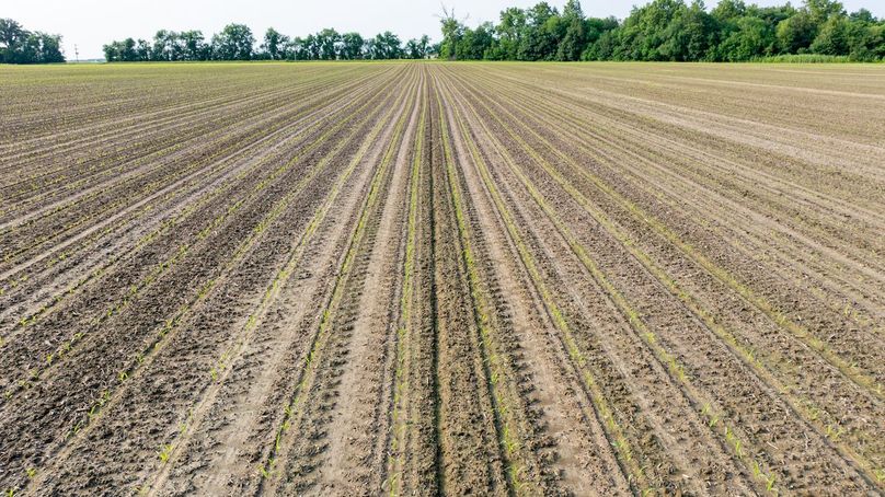 DJI_20250610045935_0022_D