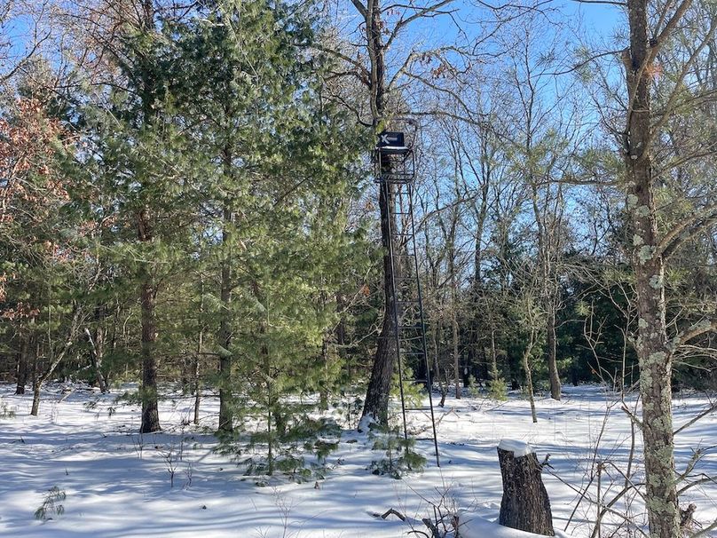 Adams 25, Nessler -40