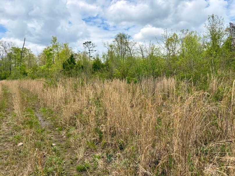 E6A848ED-1056-47AE-BC0F-3DCAC9D125E4_1_105_c-2