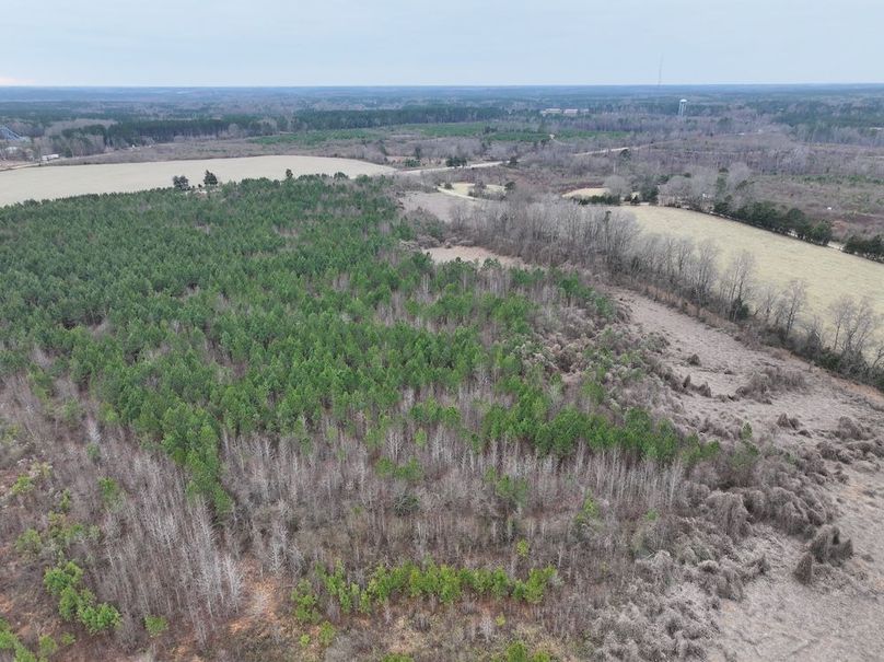 dji_fly_20251224_113610_0216_1767705683600_photo