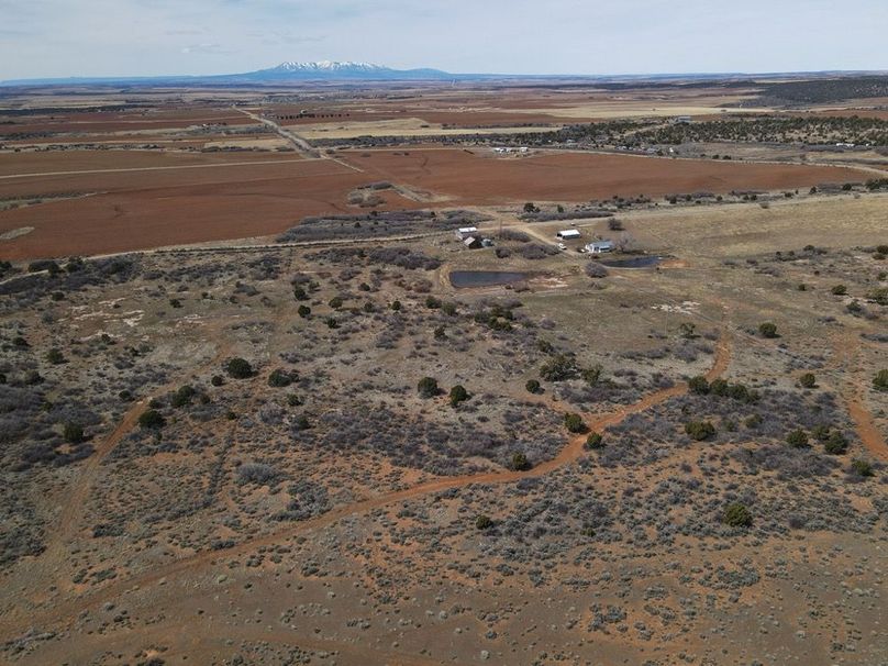 DJI_0865