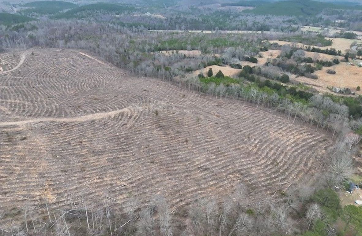 DJI_20260303123839_0008_V