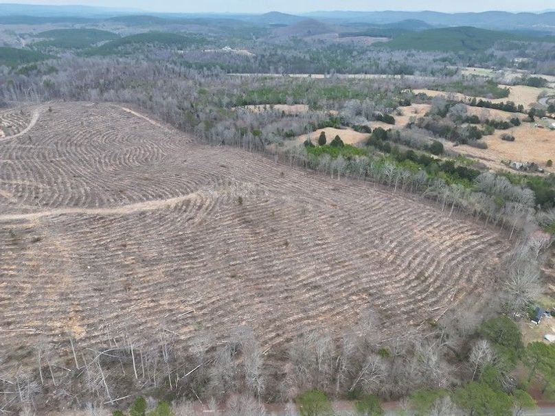 DJI_20260303123839_0008_V