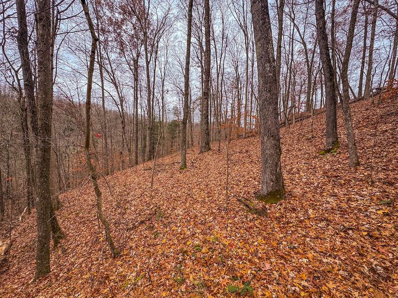 Ritchie, WV 15.5 AC Harper-14