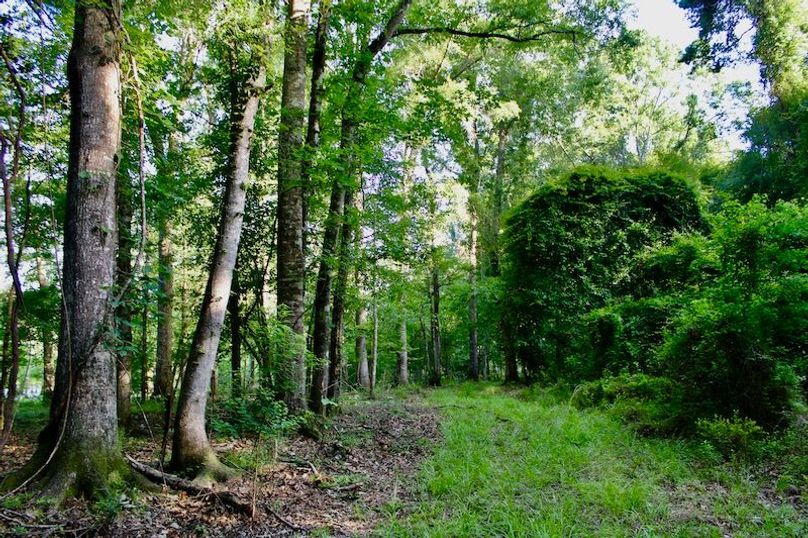 5D00E408-DCC3-4567-AD08-B1E04433D4DA_1_201_a