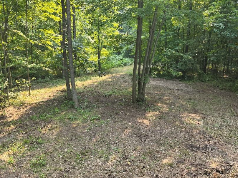 DJI_20250804050139_0003_V