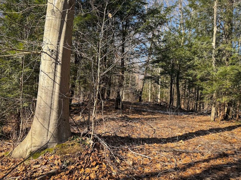 Oswego_16.32_Phillips Photo 24