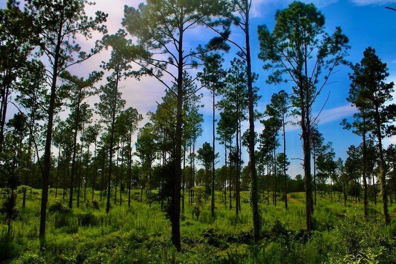 23028DF4-7BD5-4AFF-B1F0-E759B12F5110_1_105_c