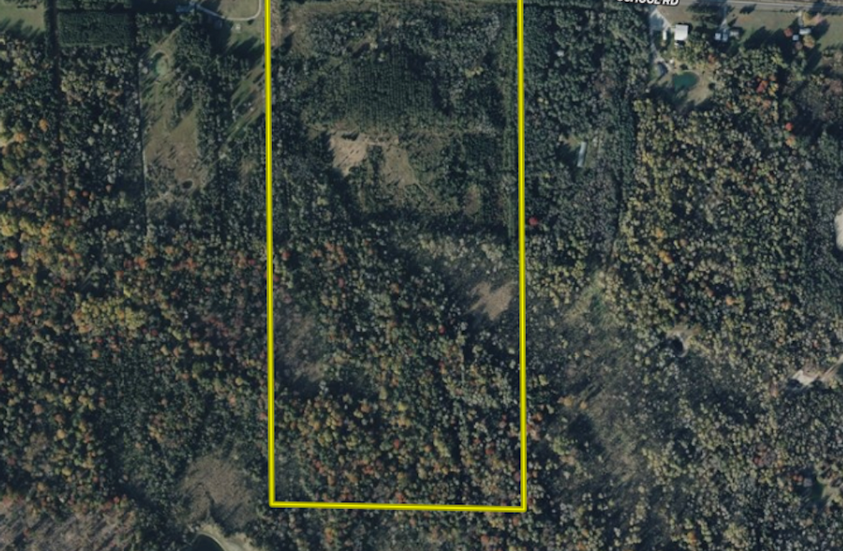 Screen Shot 2025-04-25 at 3.46.37 PM