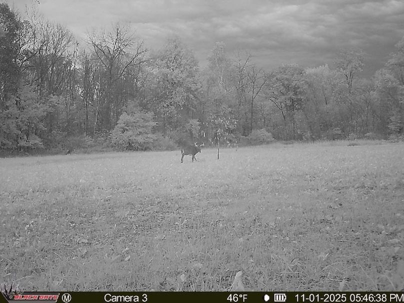 3603F9B9-A898-4F15-9A7F-ACA2610023AE