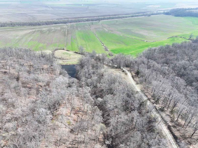 DJI_20260306175242_0570_D