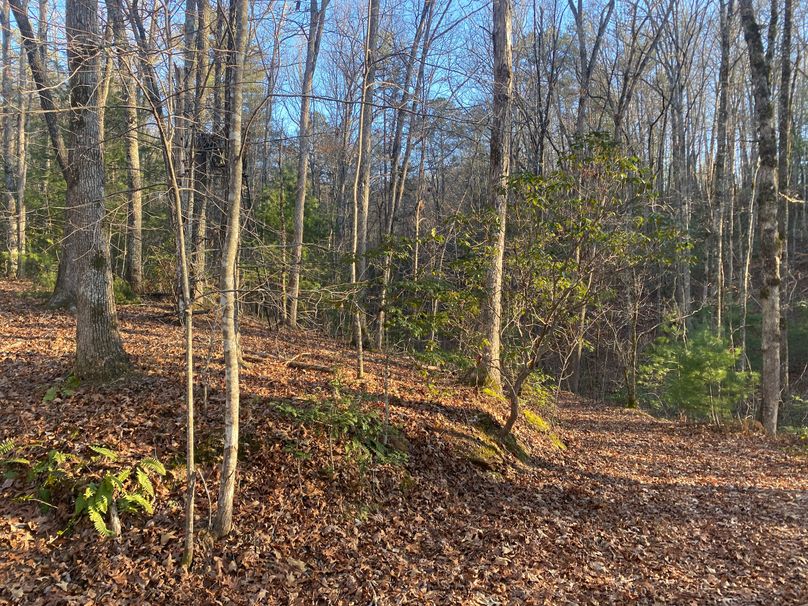 Cherokee 69.74 Stiles-09