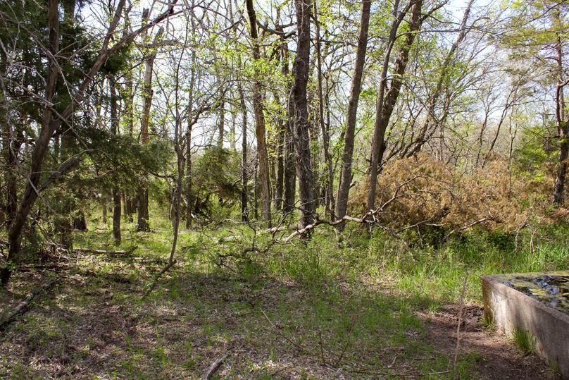 Washington, Co, 81.9_047