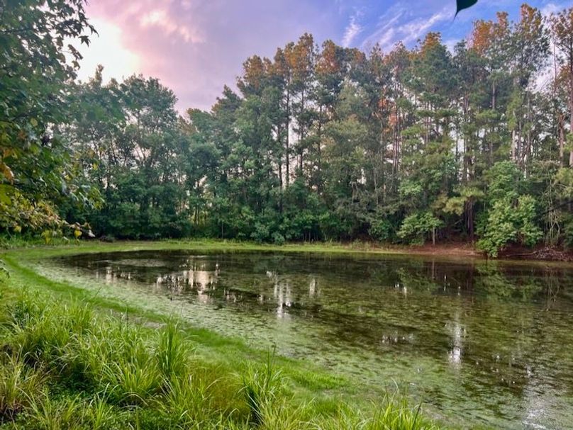 2059649B-6017-43A4-8B6A-C2CD6F7266F4_1_105_c