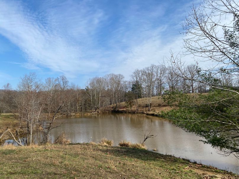 034 yes...more spring fed ponds and water sources in the west section of the property copy