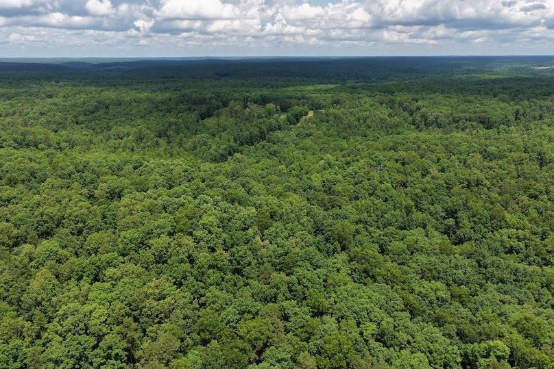 DJI_20260527122038_0007_D