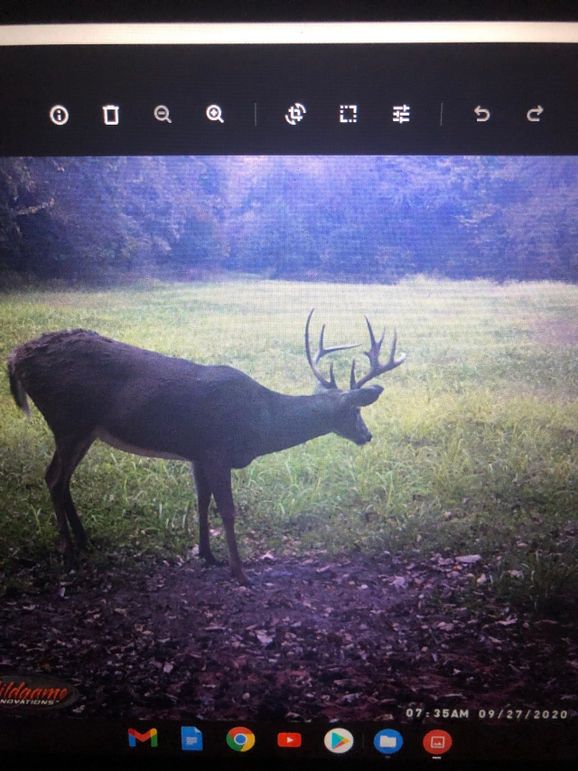 62563304851__95864780-10A6-4C2C-8E05-10ECE8BCDBFB