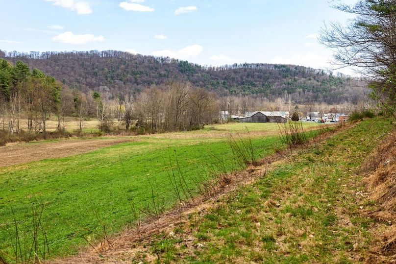 45-web-or-mls-IMG-45